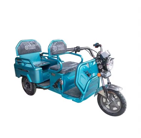 2 Seater Tricycle